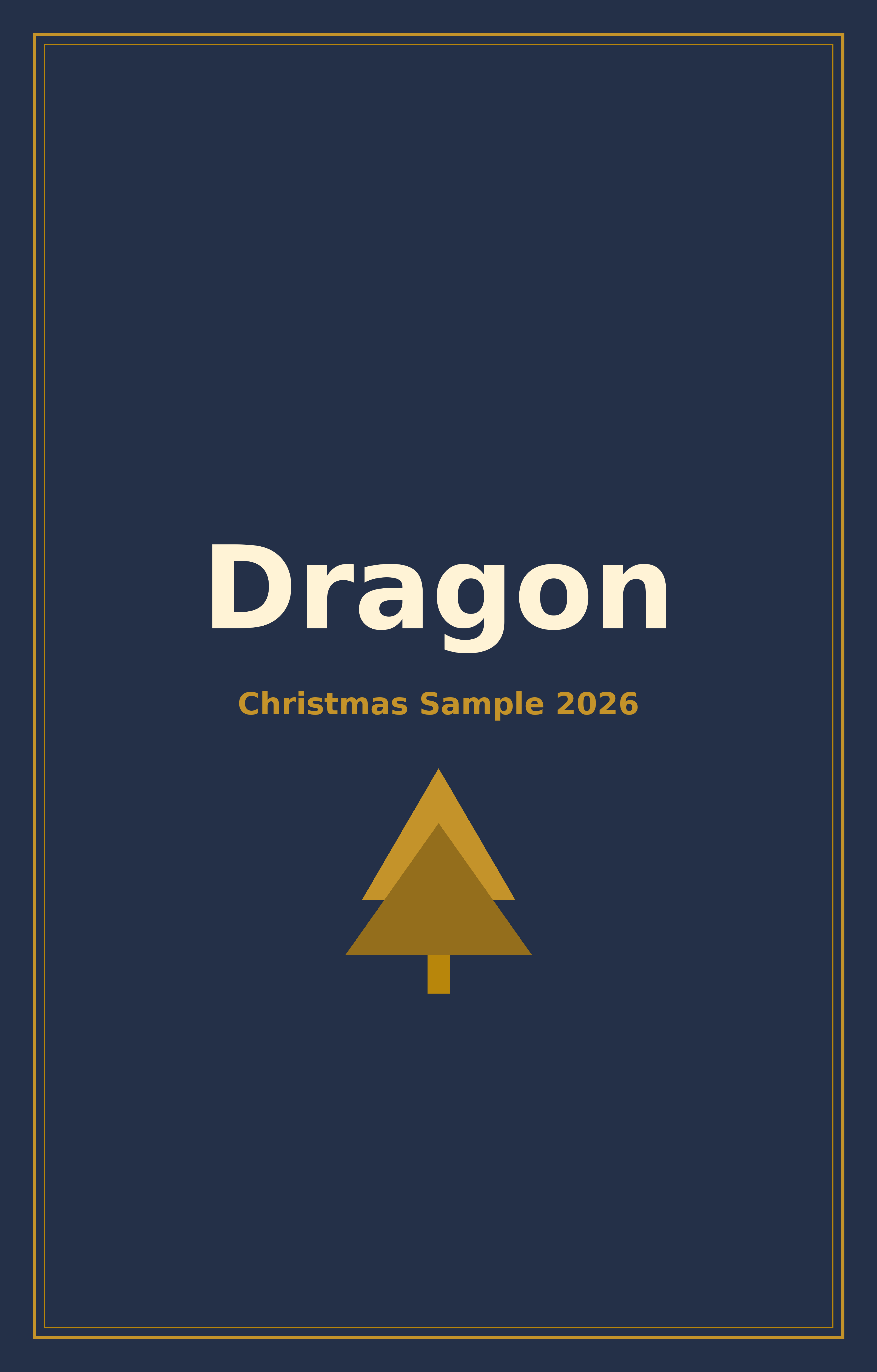 XL name Santa sack with dragon print